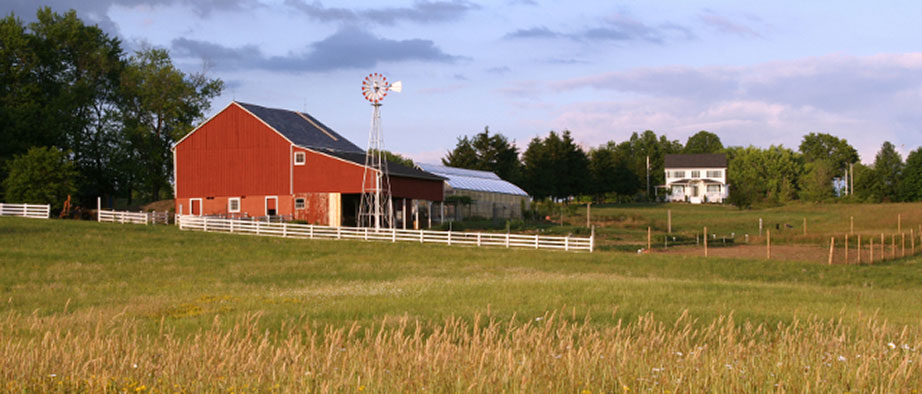 Farmland Slide